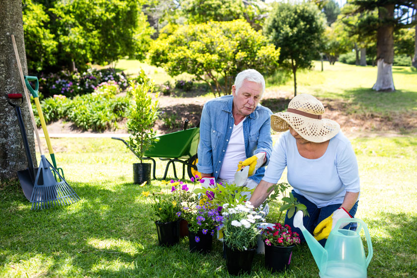 Activities In Memory Care Homes In Hope Hills, NC To Keep Dementia Patients Engaged